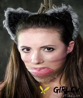cute girl casey calvert wears a cat tail butt plug and nipple clamps179503