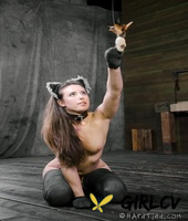 cute girl casey calvert wears a cat tail butt plug and nipple clamps179504