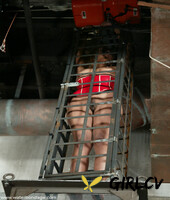 water bondage featuring stacy ray porn xxx133153