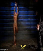 the training of o starring skin diamond hot porn pics146940