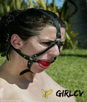 hogtied featuring dee williams jenni lee jenya princess donna dolore naked ph112238