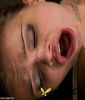 hogtied starring nika noire sgt major xxx images