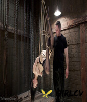 the training of o featuring gabriella paltrova john strong porn images230531