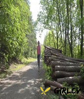 solo girl ali bordeaux squats for a piss while taking a walk on a woods road 61281399